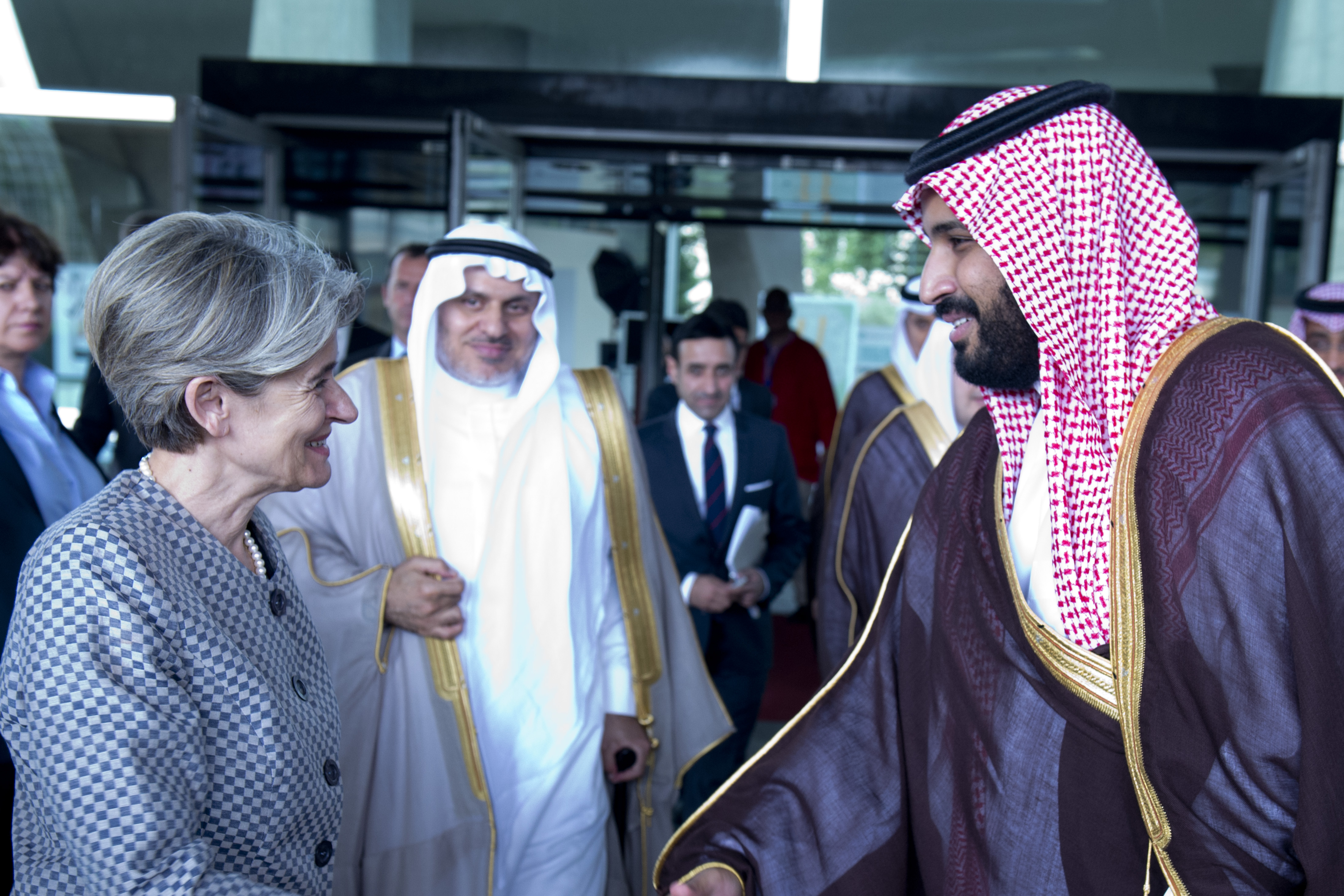 Deputy Crown Prince Mohammed bin Salman and UNESCO Director-General discuss Cultural Heritage & Education and Vision 2030