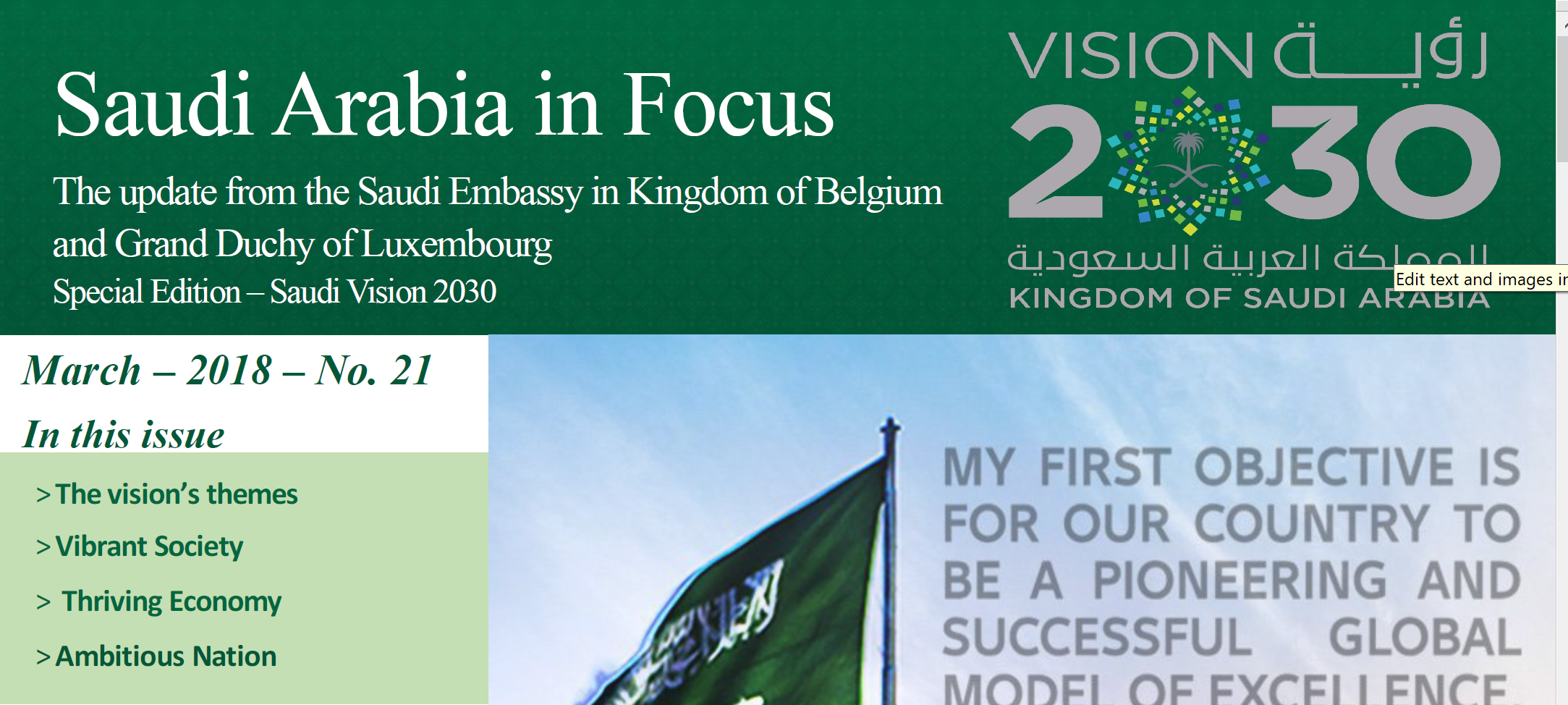 MARCH EDITION OF THE SAUDI ARABIA IN FOCUS NEWSLETTER
